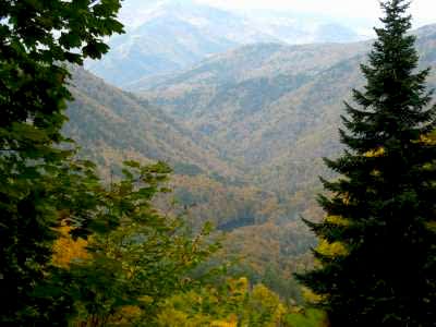 Bolu Yedigöller Milli Parkı