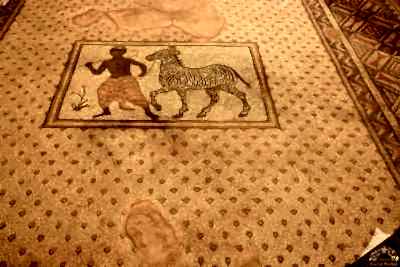 Haleplibahçe Mozaik Müzesi