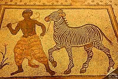 Haleplibahçe Mozaik Müzesi