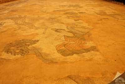 Haleplibahçe Mozaik Müzesi