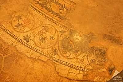 Haleplibahçe Mozaik Müzesi