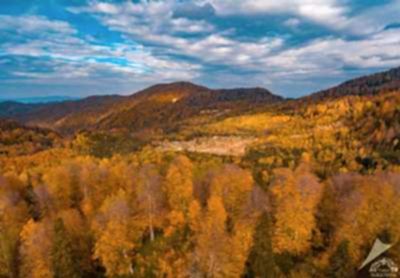 Zonguldak Bölüklü Yaylası